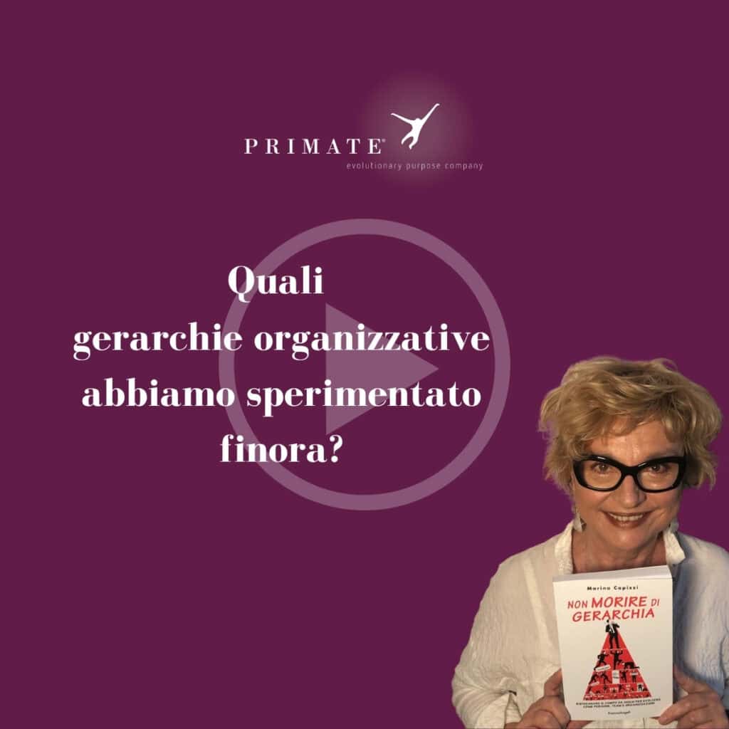 Quali gerarchie organizzative abbiamo sperimentato finora? | Marina Capizzi
