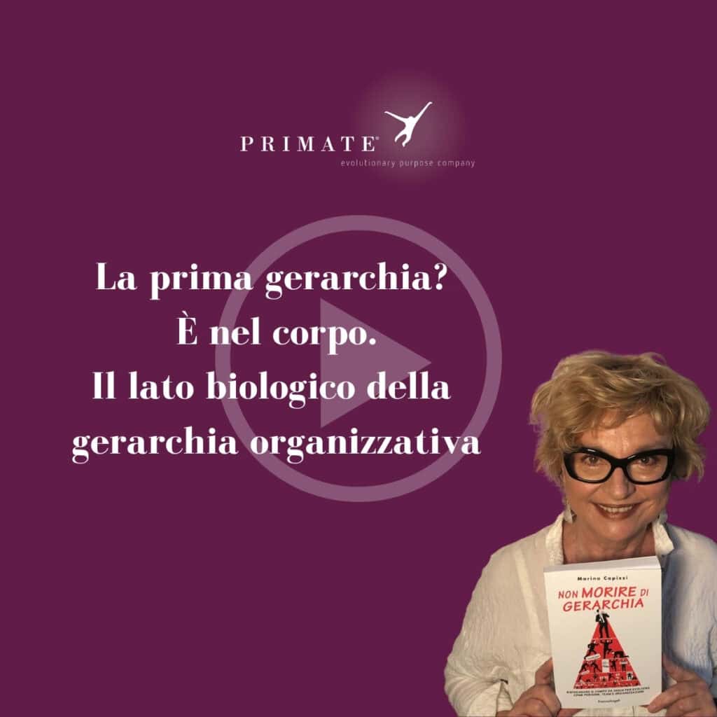 La prima gerarchia? È nel corpo. Il lato biologico della gerarchia organizzativa | Marina Capizzi