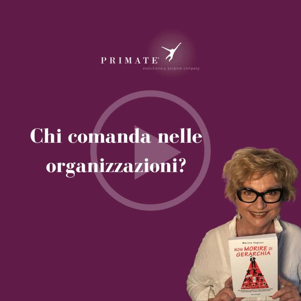 Chi comanda nelle organizzazioni? | Marina Capizzi