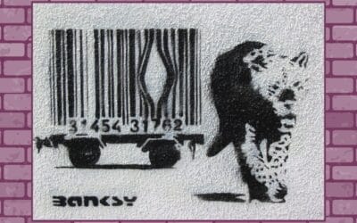 PRIMATE Newsletter – I migliori leader sono grandi follower